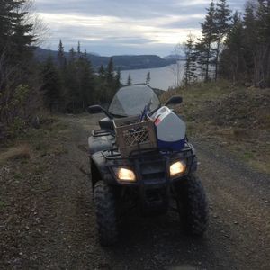 Meet your Posher, Austin